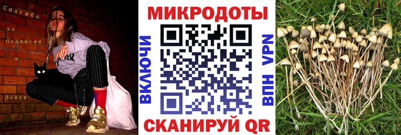 купить наркотики сайты  Беломорск  ОМГ ОМГ tor  Галлюциногенные грибы Magic Shrooms 